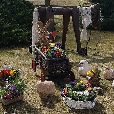 Urlaubsscheune Niedergorsdorf Eksteriør billede